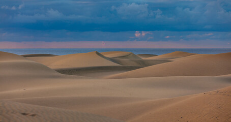 sand dunes in the desert