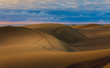 Obraz na płótnie Canvas desert sand dunes
