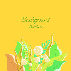 Plants illustration background for nature theme