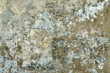 Empty background is an old painted concrete wall. The texture of the wall with cracks, lichen and mold. A destroyed building after a cataclysm or tornado.