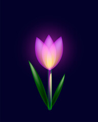 Neon crocus. Spring flowers, plants, nature, March. Vector illustration in neon style for banners, posters, flyer designs. Vector illustration