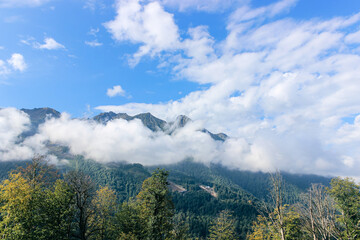 Thick white clouds float in the mountains. Beautiful mountain landscape. Nature background 