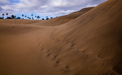 sand dunes in the desert