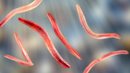 Fusobacterium, 3D illustration. An oral bacterium that causes periodontal diseases