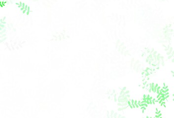 Light Green vector natural artwork with leaves.