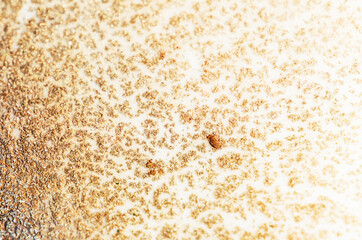 TIFFANY BLUE. Liquid marble pattern with bronze powder. Style incorporates the swirls of marble or the ripples of agate. Marbleized effect. Natural Luxury. Ancient oriental drawing technique. 