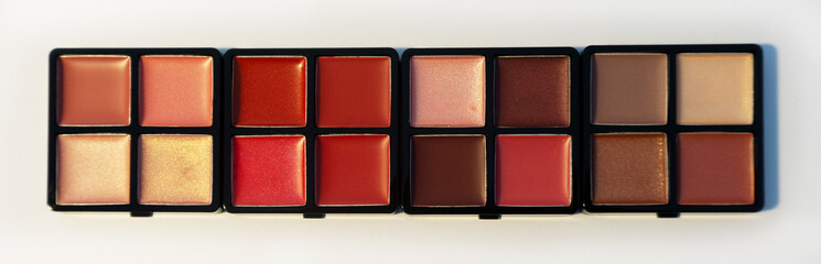 Big palette with shades of lip gloss. Isolated image on a white background. Nobody. New cosmetics. Collection of four shades.