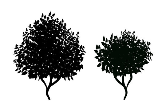 Set of monochrome silhouette of shrubs and trees. Decorative design element in black and white colors.