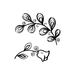 Monochrome Floral botanical set. Leave and campanula flower. Isolated illustration element. Line art hand drawing wildflower on white background for frame or border, backdrop, texture, wrapper pattern