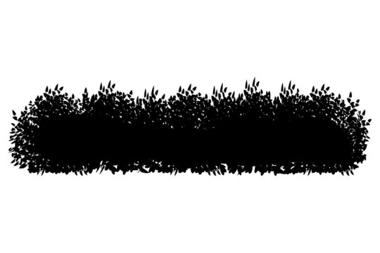 Set of monochrome silhouette of shrubs and trees. Decorative design element in black and white colors.