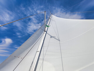 Fototapeta premium Sails of a sailing boat, yacht on the Mediterranean sea