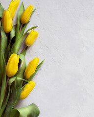 A bouquet of bright yellow tulips lying on a gray concrete table. Mother's Day, Valentine's Day, the concept of celebrating a birthday. Postcard. Top view, copy space.