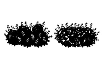 Set of monochrome silhouette of shrubs and trees. Decorative design element in black and white colors.