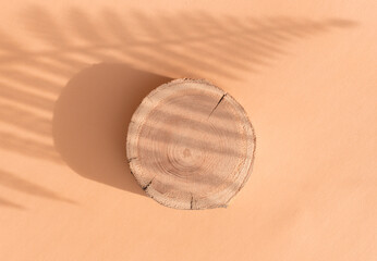 Woodcut lying on a trendy beige background with shadows of fern. A wooden platform with shades for natural cosmetics or products presentation. Wooden tray mockup in the sunlight. Top view