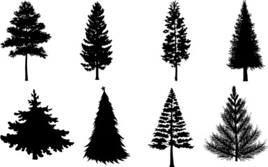 Pine Tree Silhouettes Pine Tree SVG EPS PNG