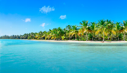 Obraz premium Dream Island. Amazing exotic paradise with palm trees, fantasy beach, turquoise water and blue sky.