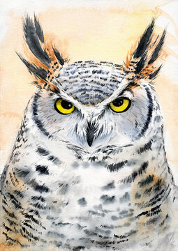 Watercolor illustration of an owl with spotted colorful feathers and big yellow eyes