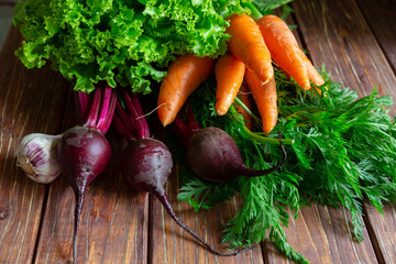 Bunch of young carrots and  beetroot with tops, garlic and lettuce on brown wooden background.