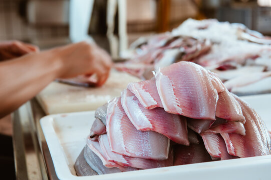 Fischfang Bodensee, Vorarlberg