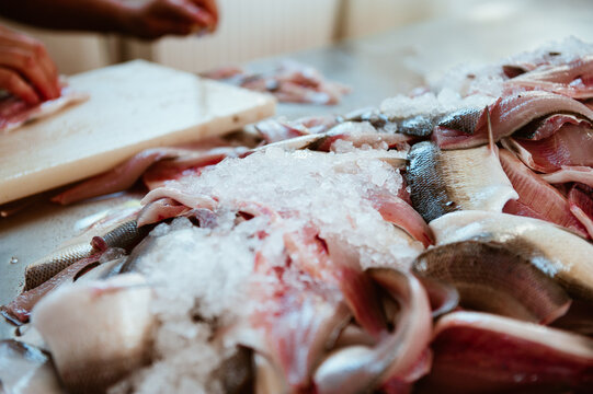 Fischfang Bodensee, Vorarlberg