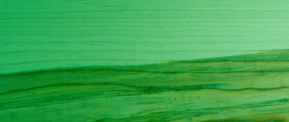 Green colored wood surface with old natural pattern. Texture of wood background close up