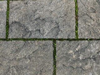 Obraz premium a fragment of a path paved with a granite massif in a garden or park with seams overgrown with small weeds and moss, a detail of a park or city exterior in the form of a stone paved surface