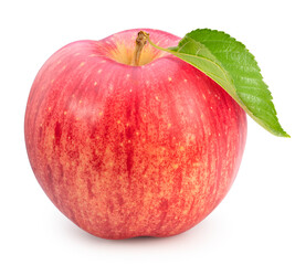 Fresh Giant Apple with leaf on white background, Japanese Sekai ichi apple isolated on white background, With clipping path.