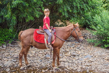 Boy rides a horse in the forest