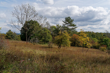 Landschaft auf dem Michelsberg bei Münnerstadt im Biosphärenreservat Rhön, Unterfranken, Bayern, Deutschland