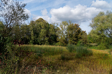 Landschaft im NSG Schwarze Pfütze zwischen Oerlenbach und Münnerstadt auf Burghausen im Biosphärenreservat Rhön, Unterfranken, Bayern, Deutschland