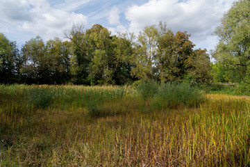 Landschaft im NSG Schwarze Pfütze zwischen Oerlenbach und Münnerstadt auf Burghausen im Biosphärenreservat Rhön, Unterfranken, Bayern, Deutschland
