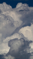 Vue rapprochée de gros cumulus bourgeonnants, parvenant bientôt au stade cumulonimbus