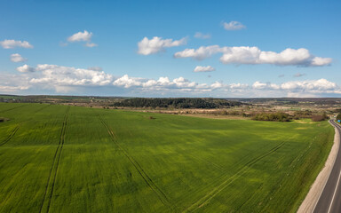 Aerial view. Green field of young corn in clear weather. There are rare clouds in the blue sky. On the horizon is a forest and a lake.