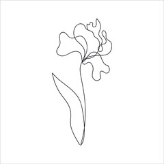 Continuous line drawing of an abstract iris flower. Floral sketch. abstract plant drawn by one line. Minimalism. Vector illustration.