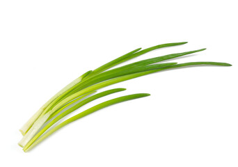 twig of onion isolated on white background