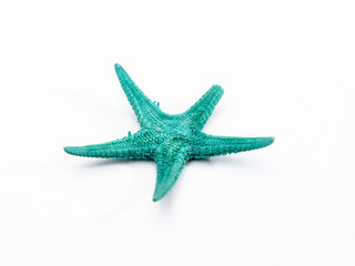 Fototapeta na wymiar starfish on a white background. Starfish isolated on white background.