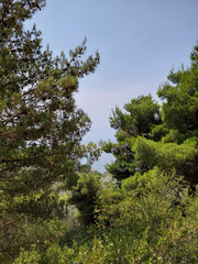 budva coast montenegro, adriatic sea and mountains