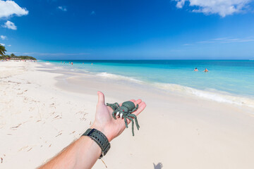secluded white sand beach in the tropical Cayo Levisa Island in Cuba