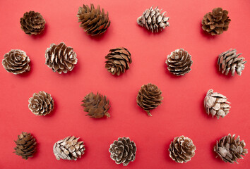 Fototapeta na wymiar Cones on a red background. Holiday concept. Flat lay