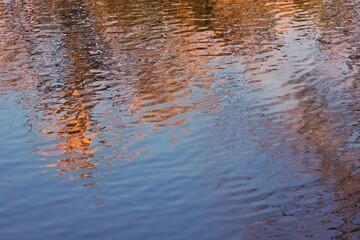 reflection in water