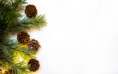 Christmas tree branches and cones with decor on the white background. Holiday concept. Flat lay