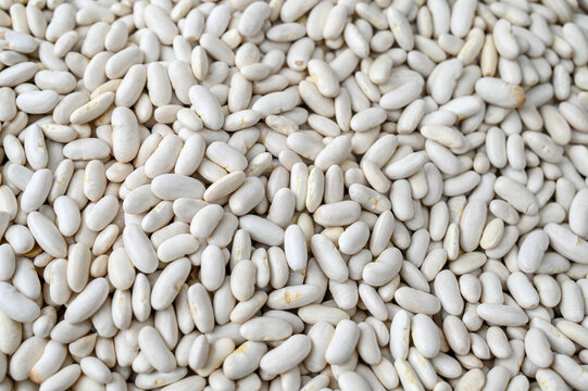 Fresh white beans for sale at vegetable market, close up. Boxes full of raw beans in shop. Organic bean at the greengrocer's stall. Vegetable.