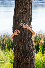 An environmentalist woman is embracing a poplar tree to demonstrate is love for nature and environment.