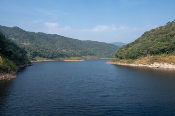 Forests and lakes under the blue sky