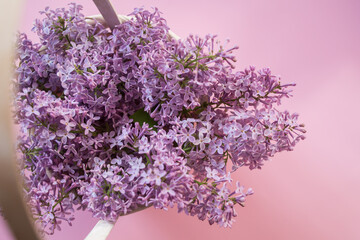 Plakat branches of lilac on a pink background. background, postcard