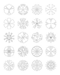 Top view tree vector set.