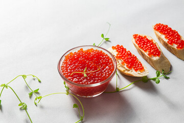 Red caviar on a dark background. Sandwiches with caviar