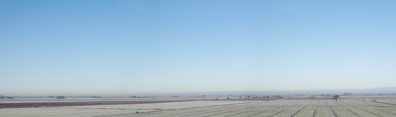 Fototapeta na wymiar Flat winter landscape in the agricultural province of Friesland (Netherlands) with hoarfrost on the farmlands and farms on the horizon. Clear blue sky. Widescreen image