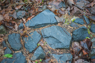 stone wall with green moss in the joints