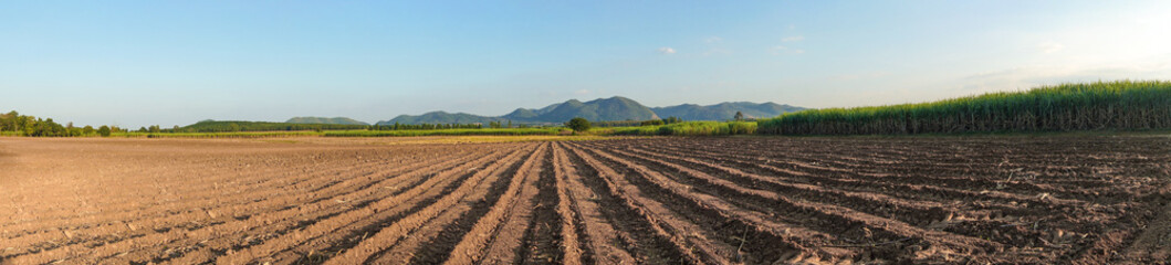 Fototapeta na wymiar Panorama landscape farming with mountain view in Thailand countryside